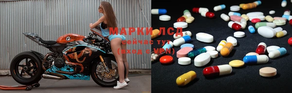 прущие грибы Армянск