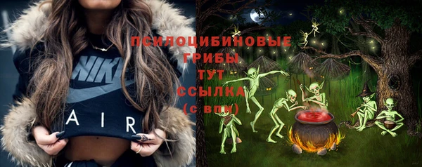 прущие грибы Армянск