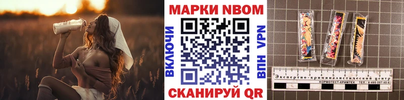 купить наркоту  Камышлов  hydra зеркало  Марки 25I-NBOMe 1500мкг 