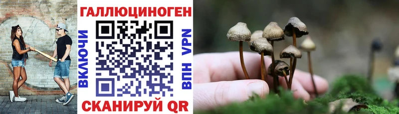 Псилоцибиновые грибы GOLDEN TEACHER Камышлов