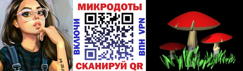 где купить   Камышлов  Псилоцибиновые грибы мухоморы 